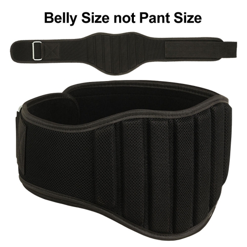 Gym Belt